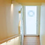 Oasis B - Centre Apartment *